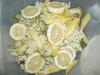 Elderflower cordial